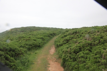 enclosed-with-gorse-and-bracken