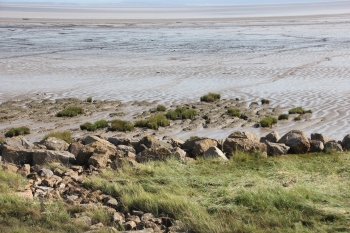 mudflats-and-runnels